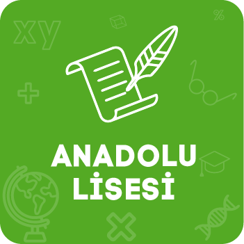 Anadolu Lisesi